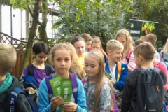 3_kopiowanie