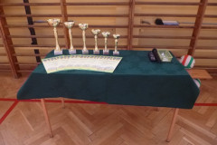 323. VI MIĘDZYSZKOLNY TURNIEJ W DWA OGNIE w 11