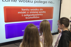 29B5E683-6FCD-4CA5-9E09-55D25F5ED9EC