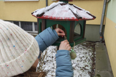 Dokarmianie ptaków zimą styczeń 2026 r.