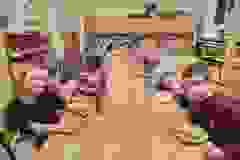 41