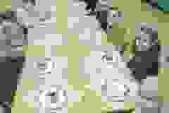 52