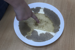 3B683536-F3E3-4820-AF10-321312B203F7