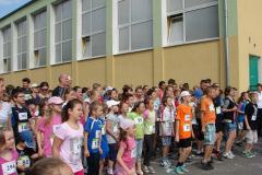 Festyn CZAS NA ZDROWIE - 8.06.2013