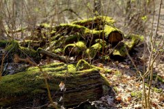 658775796_1812644670361185_8648605635246625383_n