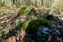 658870066_1812643383694647_74566473874135445_n