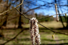 660140534_1812644833694502_5069824103312432142_n