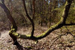 660454911_1812645013694484_5755009181519678201_n