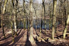 660490407_1812643683694617_3684737911878154328_n