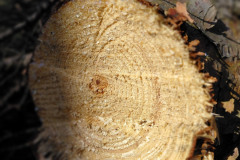 660848142_1812643290361323_9089326393222628088_n