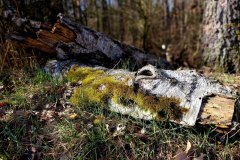 661480699_1812643477027971_2783669223434970393_n