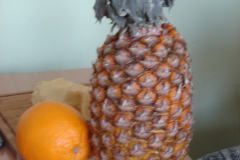 dsc03509