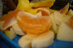 dsc03534