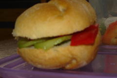 dsc03582