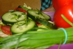 dsc03585