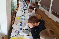 616155419_1732106208415032_7154934989909417171_n