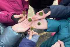 616769947_1732106121748374_1687148854016356250_n