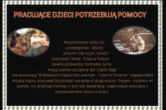 mateusz_ak_6b