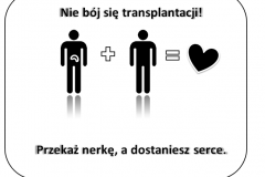 zuzia_bydzynska_6c