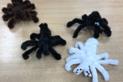 Światowy Dzień Zwierząt 4.10.2025 r.