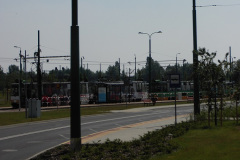 PIC07784.JPG